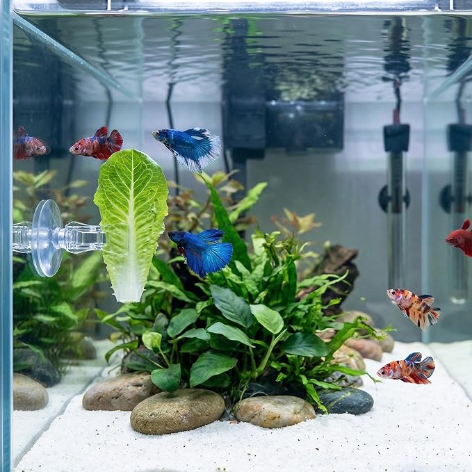 6 Pcs Aquarium Suction Cups with Clips - Aquarium Suction Cup Clips