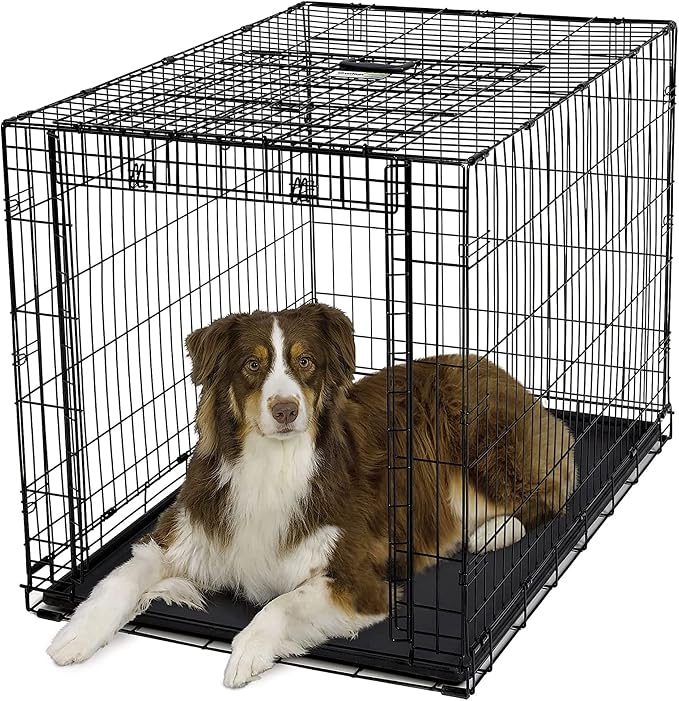 MidWest Homes for Pets Large Ovation Single Door Folding Dog Crate, 42-Inches, Space-Saving Patented Up & Away Door, Leak-Proof Pan, Divider Panel, Black