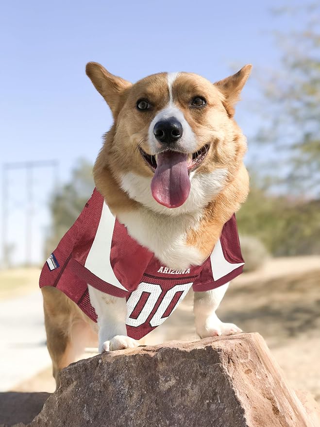Pets First NFL Arizona Cardinals Dog Jersey, Size X-Small, Football Shirt Costume for Pet, Dog Sports T-Shirt, NFL Team Clothing for Cats, Licensed Pet Apparel Available in 7 Sizes and 32 Teams