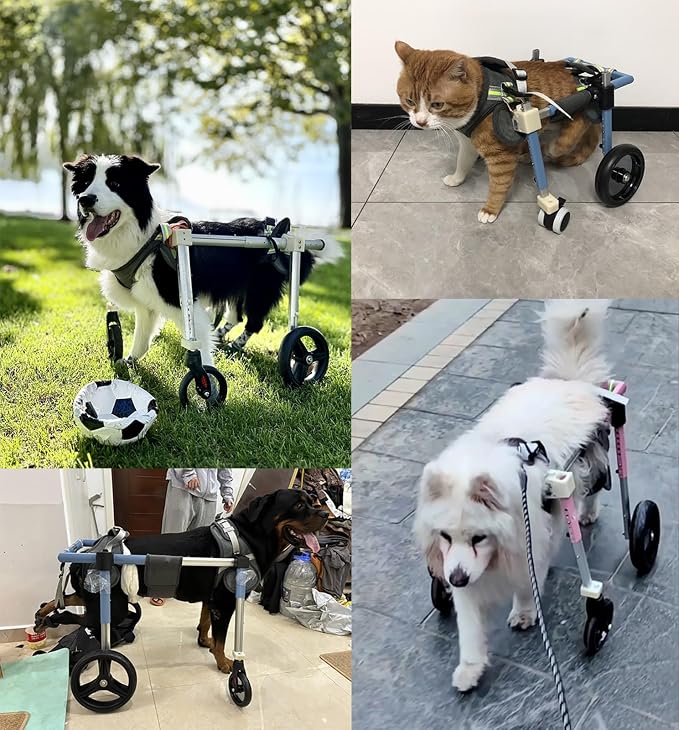 Lar Dog Wheelchair - 4 Wheel/2 Wheel Adjustable Pet li Aid, Rear Limb Support Trolley for Mum to L Dogs, Injured Dog Bike Trailer with Leg Protect Pad