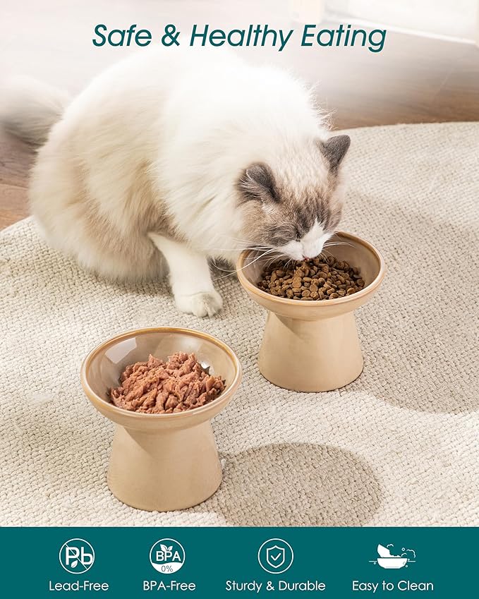 vancasso Elevated Cat Food Bowls 2-Pack, 6.2" Wide Shallow Cat Feeding Bowl for Whisker Fatigue, 5.1" Height Ceramic Raised Food Bowls for Senior Cats, Anti Vomit, Brown