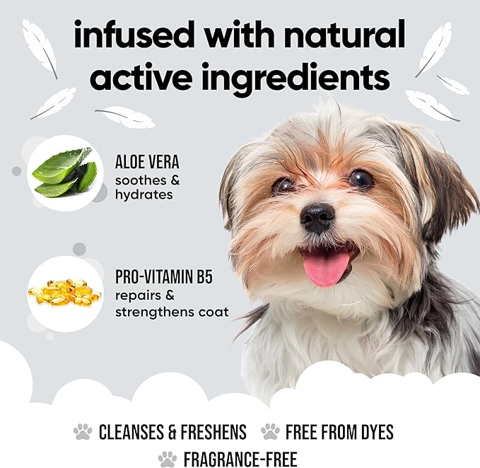 Buddycare Derma Sensitive Dog Shampoo with Aloe Vera and Pro Vitamin B5 (169.07oz)