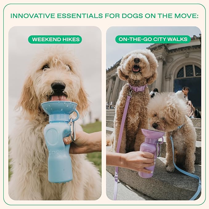 Springer Dog Water Bottle | Portable Travel Drinking Feeder Dispenser for Dogs & Puppies | As Seen on Shark Tank | Leak-Proof Bowl | BPA-Free | Outdoor Walking, Hiking & Travel | 22oz Lilac