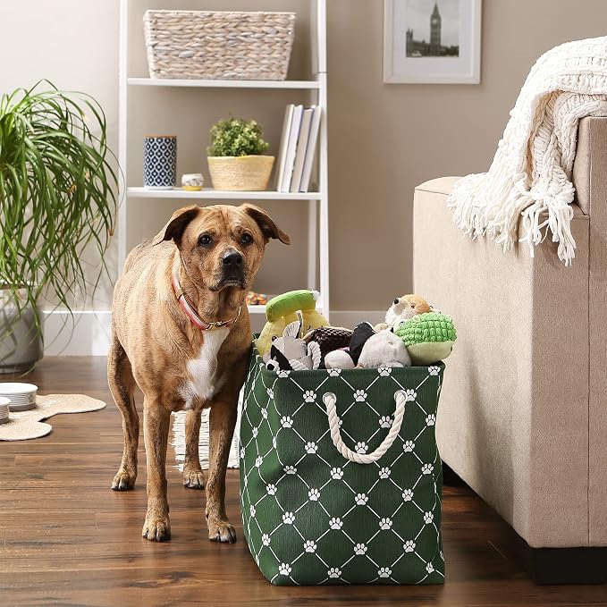 Bone Dry Pet Storage Collection Paw and Bone Print, Large Rectangle, 17.5x12x15 Hunter Green Trellis