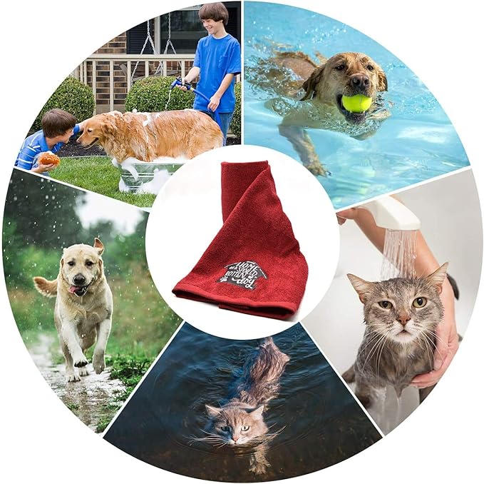 DAN RIVER Dog Towel - Pack of 1, 100% Cotton, 20x40, Ultra Soft 450 GSM, Super Absorbent & Quick Drying Towel for Dogs, Cats, and Other Pets, Salsa.