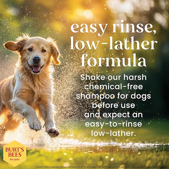 BURT'S BEES FOR PETS Hypoallergenic Dog Shampoo with Shea Butter and Honey, Gentle Fragrance Free Shampoo for Sensitive Dogs with 95% Natural Origin Skin and Coat Formula, 16 Fl Oz - 6 Pack