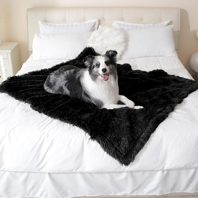 gogobunny Waterproof Dog Blanket for Couch & Furniture Protection - Super Soft Reversible Throw for Large Dogs & Cats, Calming Washable Fur & Sherpa Pet Blanket (50x60 Inch, Black)