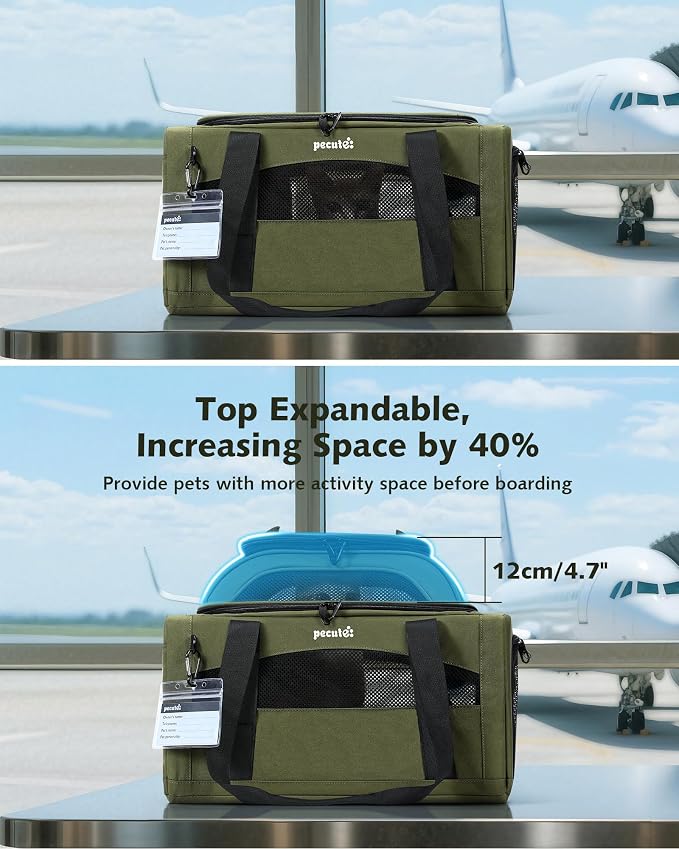 Pecute Expandable Airline Approved Pet Carrier for Cats & Dogs, Olive Green | Airline Approved Dog Carrier, Under-seat, Anti-scratch Mesh, Safety Leash, Locking Zippers, Leakproof Pee Pad