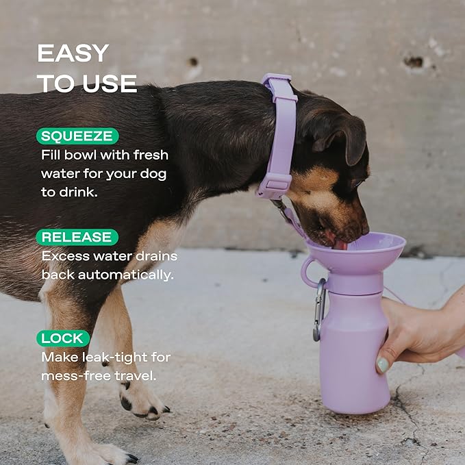 Springer Dog Water Bottle | Portable Travel Drinking Feeder Dispenser for Dogs & Puppies | As Seen on Shark Tank | Leak-Proof Bowl | BPA-Free | Outdoor Walking, Hiking & Travel | 15oz Lilac