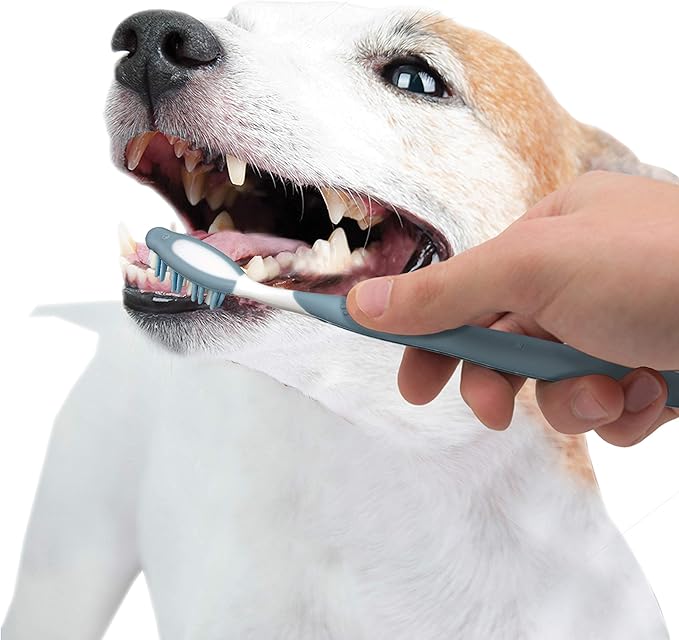 Nylabone Advanced Oral Care Dog Dental Kit Original Flavor 2.5 oz.