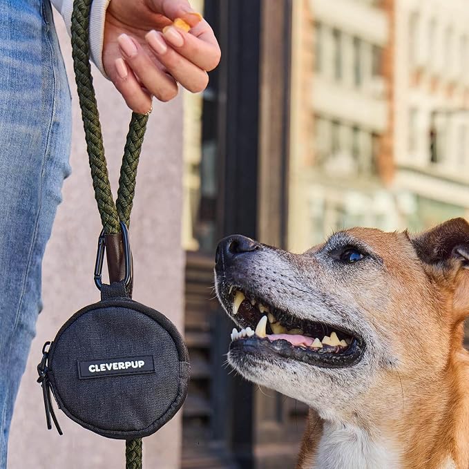 Cleverpup Snackpack Double Insulated Dog Treat Pouch – 1.5 Cup Capacity, 2 BPA-Free Waterproof Zipper Pockets, Carabiner for Belt/Leash – Compact Training & Travel Bag – Graphite