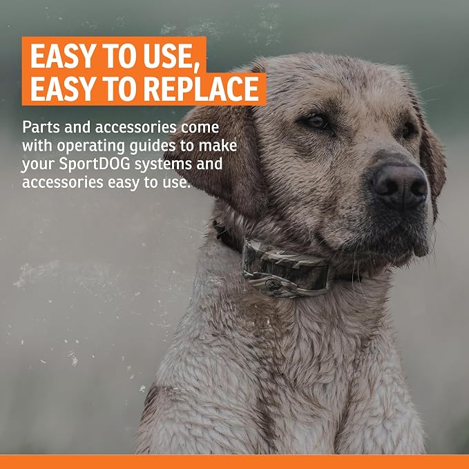 SportDOG Roy Gonia Special Whistle - Orange with Pea | Dog Training Whistle, Pea Design, Low Pitch Trill Carries farther