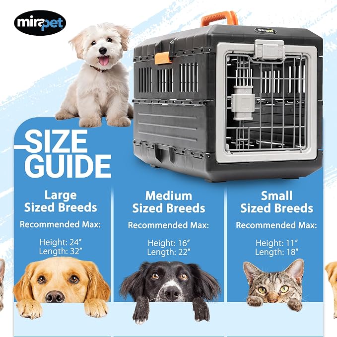 Collapsible Pet Carrier for Small Cats & Dogs, 21.5"L x 12"W x 14"H | Hard-Sided Crate Walls, 360-Degree Ventilation, Tool-Free Snap Assembly, Folds Flat to 5.5 In, for Travel & Storage