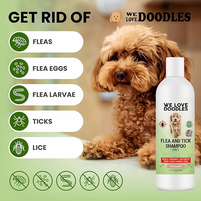 We Love Doodles Flea Shampoo for Dogs - Stops Fleas & Ticks for Dogs, Natural, Safe & Effective Lice Treatment, Soothing Shampoo for Sensitive Skin, Manufactured in USA, 16 oz