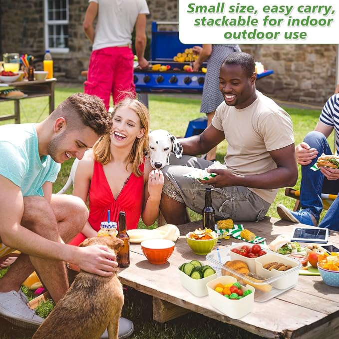 4 Compartment Snackle Box Container with Lid, Mini Divided Serving Tray | Portable Snack Platter Fruit Veggie Trays Snackele Box Containers for Charcuterie, Party, Snack, Nuts, Beach, Travel, Picnic