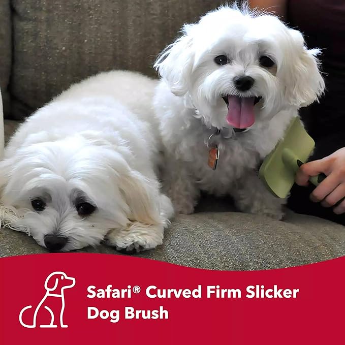 Coastal Pet Hair Brush for Dogs of All Types - Safari Curved Slicker Brush - Pet Grooming Tools for Shedding - Dog Pin Brush for Detangling - 7.5 x 4.5 inches