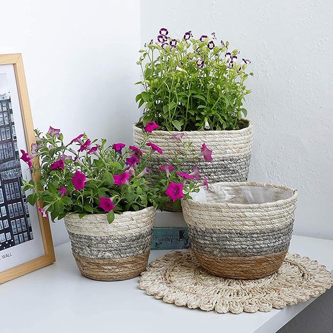 Straw Rope Plant Basket Woven Plant Coiled Basket, Decorative Flower Pot Cover Closet Storage Bin Table Desk Organizer for Home Decor, Plant Pots for Indoor Plants, Plant Containers (L)