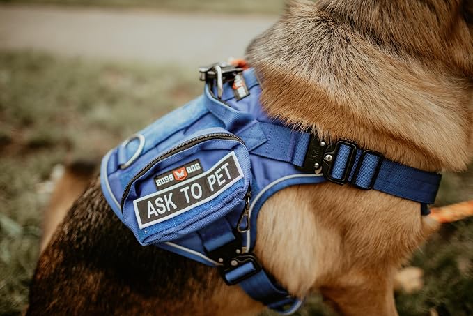 Boss Dog Tactical Molle Bag, Blue, Small