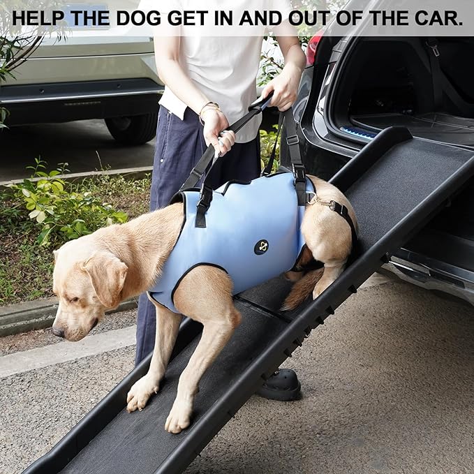 Coodeo Dog Lift Harness, Pet Support & Rehabilitation Sling Lift Adjustable Padded Breathable Straps for Old, Disabled, Joint Injuries, Arthritis, Loss of Stability Dogs Walk (Blue, S)