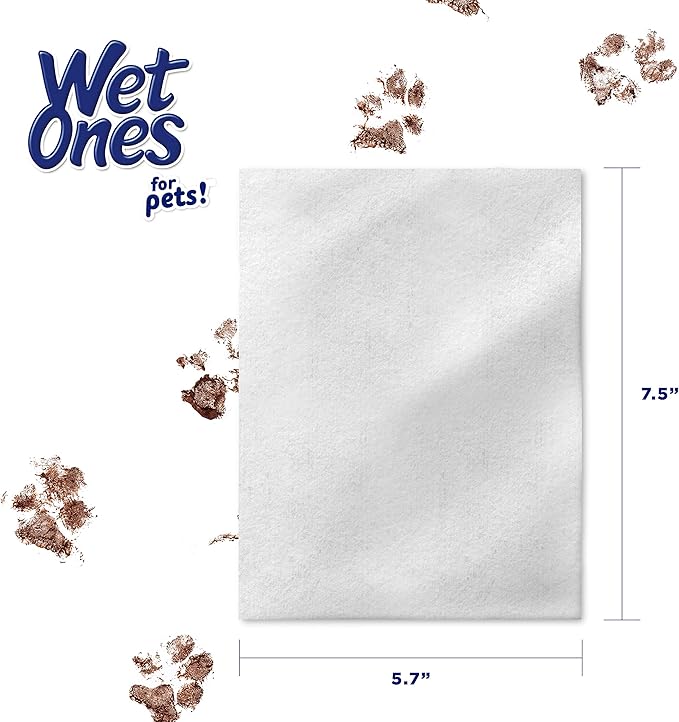 Wet Ones for Pets Multipurpose Dog Wipes with Aloe Vera, Tropical Splash Scent - Pet Bathing Wipes with Wet Lock Seal for Dog Paws and All-Over Use, 100 Count