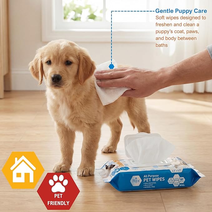 MED PRIDE Hypoallergenic Cat Wipes for Bathing and Cleaning with Aloe Vera Alcohol and Paraben-Free Extra Soft Cat Cleaning Wipes for Fur (12 Packs of 60)