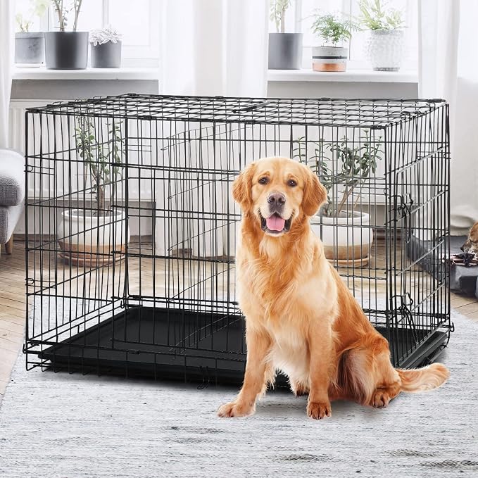 Dopinmin Pet Dog Crate with Divider, 48 Inch Dog Crate Cage Indoor Black | Double Door Folding Metal Dog Kennel Large Dog Crate with Divider Plastic Pan, Basic Pet Crates for Medium Large Breed Dog