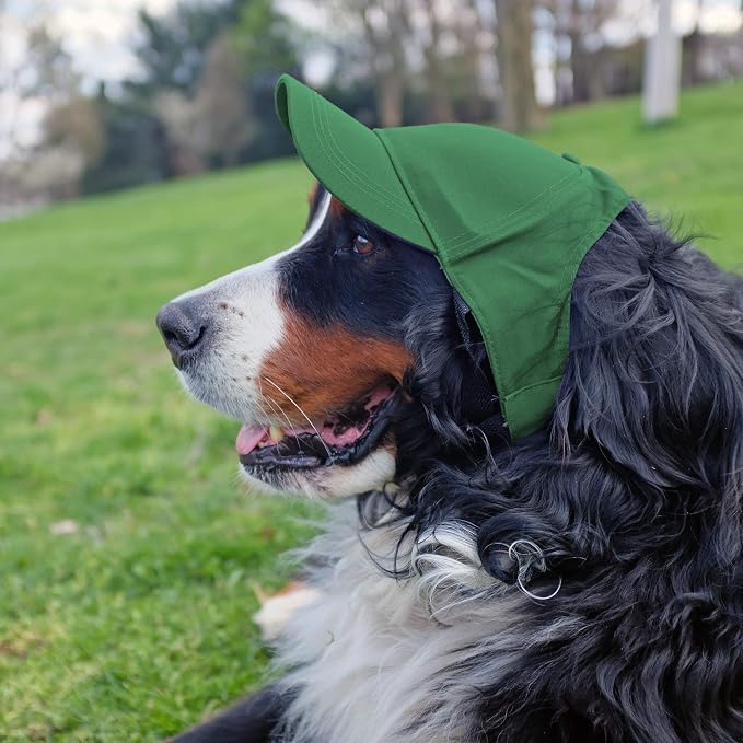 Littlearth Unisex NHL Pet Baseball Hat