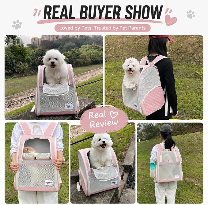 Cat Backpack Carrier for Small Dogs and Medium cat Puppy Kitten Bunny Pet Carrier Backpack Collapsible with Fully Ventilated Mesh with Safety Leash (Pink, 12.9" L x 10.62" W x 15.5" H - M)
