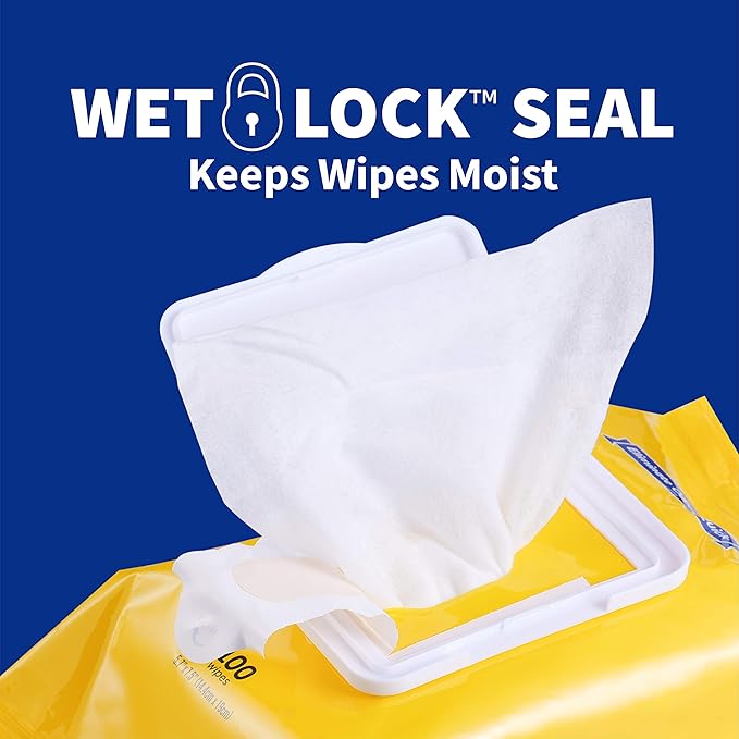 Wet Ones for Pets Deodorizing Multipurpose Dog Wipes with Baking Soda, Tropical Splash Scent - Deodorizing Dog Grooming Wipes with Wet Lock Seal, 100 Count - 12 Pack