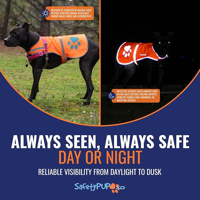 Blaze Orange Dog Vest. Reflective High Visibility in Hunting & Wooded Areas