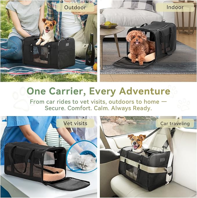 Petsfit Large Cat Carrier for Car Travel, Patented Seat Belt Buckle, 20 lb | 19 x 12 x 12 in; for large cats and small dogs, with locking zippers, anti-scratch mesh, reinforced frame and washable pad.