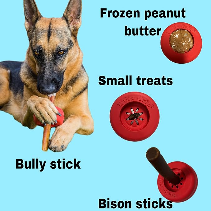 Bully Stick Holder for Dogs - Large Size - Interactive Dog Toy, Dog Treat Holder, Slow Feeder, Treat Dispenser, Chew Toy and Dog Safety Device
