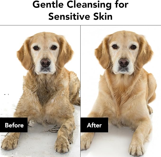 Pride and Groom The Sensitive One Dog Shampoo – All Natural Blend of Essential Oils & Gentle Ingredients for Puppies & Dogs with Sensitive Skin & Coats to Soothe and Regulate Skin & Follicles – 16oz