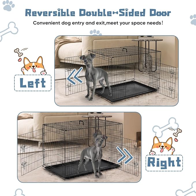 DUMOS Dog Crate 42 Inch, Foldable Medium Large Dog Cage Pet Kennel | Double Door Metal Wire, Plastic Leak-Proof Pan Tray, Portable Indoor Outdoor Training Travel