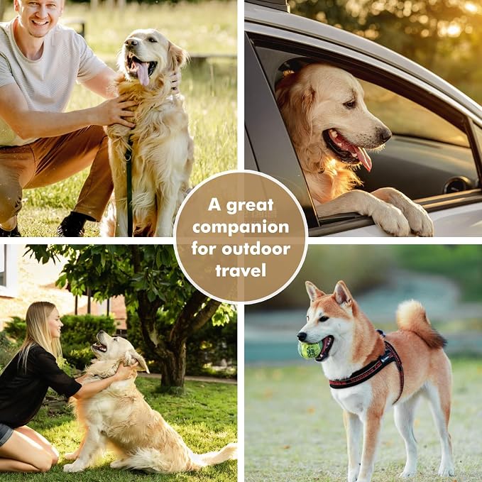 Collapsible Dog Bowls, Travel Food and Water Double Bowl for Cats & Dogs, 2-in-1 Portable BPA-Free Feeding Solution, Perfect for Traveling, Camping & Walking (L/ 100oz)