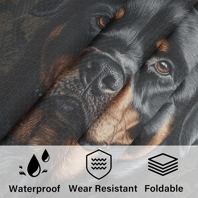 TropicalLife Funny Bernese Dog 6 Set Compression Packing Cubes | Travel Accessories Expandable Packing Organizers Space Saver Bags for Organizing Clothes