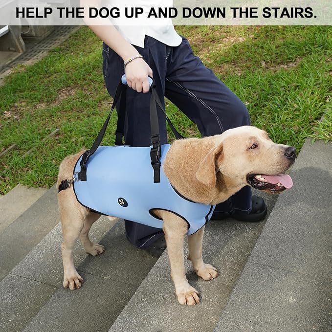 Coodeo Dog Lift Harness, Pet Support & Rehabilitation Sling Lift Adjustable Padded Breathable Straps for Old, Disabled, Joint Injuries, Arthritis, Loss of Stability Dogs Walk (Blue, S)