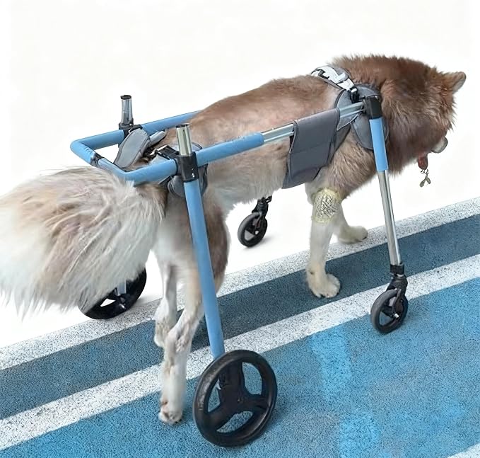 Pet Mobility Support 4 Wheel Full Support Dog Wheelchair Adjustable Pet Wheelchair Dog Leg Support Cart for Arthritis Relief for Hind Leg Support & Rehabilitation