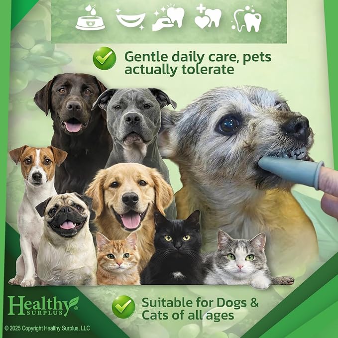 Healthy Surplus 4 Oz - Enzymatic Dog Toothpaste (Poultry - Chicken Flavor) for Dogs & Cats - Compare to Virbec CET - Fresh Breath, Plaque & Tartar Control - Advanced 5-Enzyme Pet Toothpaste