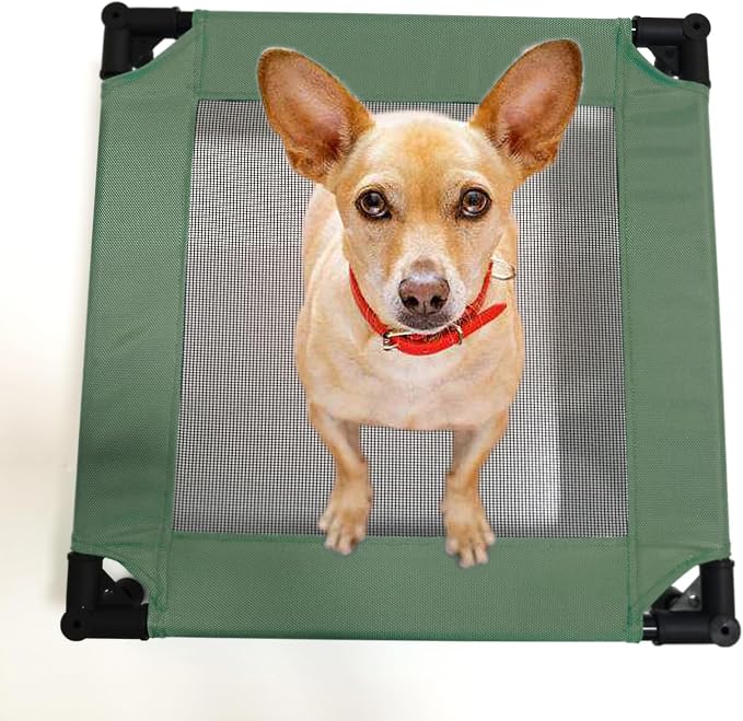 Pozico Elevated Pet Bed with Breathable Mesh for Small Cat and Dog, Raised Cooling Pet Cot for Puppy and Kitty, 18.9x18.9 inch (Olive Green Bed)