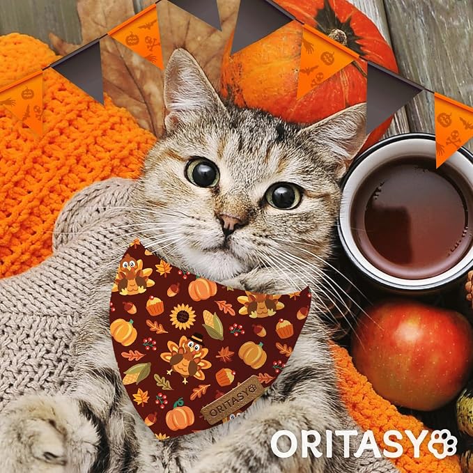 Thanksgiving Fall Dog Bandanas, 2-Pack Triangle Reversible Turkey Pumpkin Pet Scarves, Premium Fabric, Bandana for All Boys Girls Dogs (Large, Style 2)