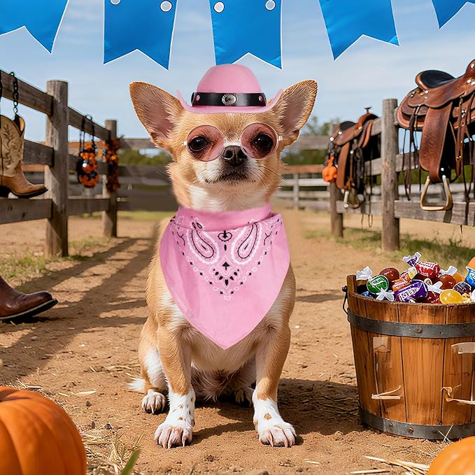 Cowboy Costume Set for Small Dog Cat Pet Mini Cowboy Hat Sunglasses with Bandana for Halloween Holiday Party Cosplay (Pink)