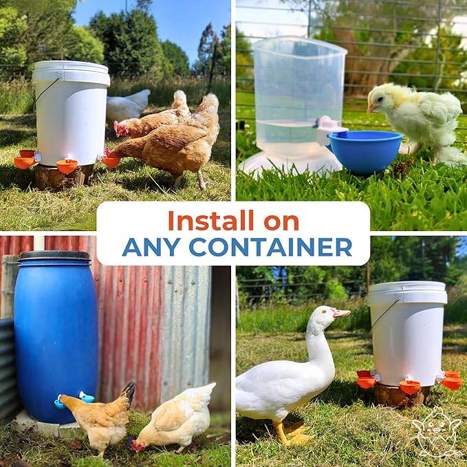 Lil'Clucker Large Automatic Chicken Waterer Cups | Chicken Water Feeder Suitable for Chicks, Duck, Goose, Turkey and Bunny | Poultry Water Feeder Kit (Orange, 8-Pack)