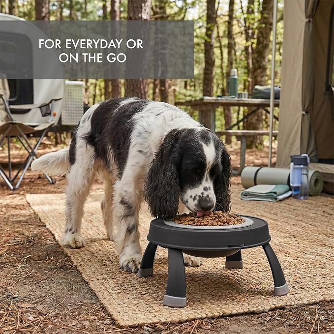 Dexas Pets Single Elevated Pet Feeder/Pet Bowl, Large/ 4 Cup Capacity, Light Gray