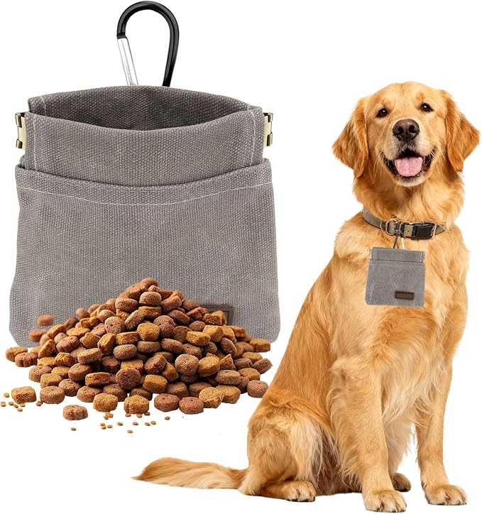 Dog Treat Pouch, Portable Auto Closing Dog Training Treat Bag with Carabiner, Hands Free Pocket Sized Snack Reward Pouch for Puppy Walking Travel Outdoor Use, Gray