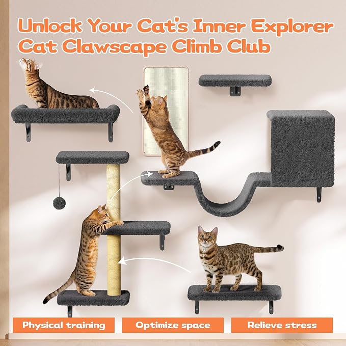 6-in-1 Wall Mounted Cat Climber Set for Heavy Cats,Wall Shelves,Stable & Safe Cat Furniture Set for Large Cats, Wooden Climbing Wall with Scratching Post (Black)