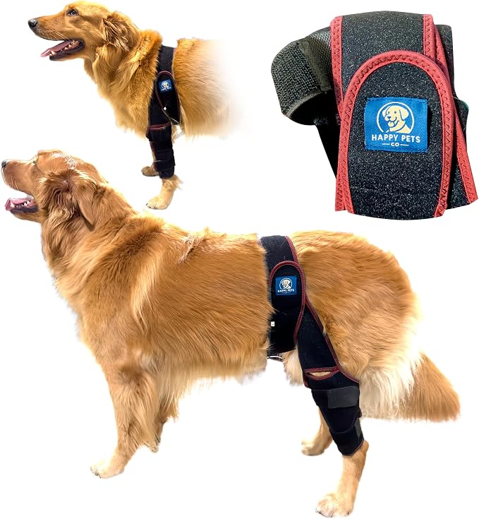 Dog Knee Brace Adjustable Front Hind Leg Brace for Cruciate Ligament Injury, Luxating Patella, Torn ACL. (RED, Medium)
