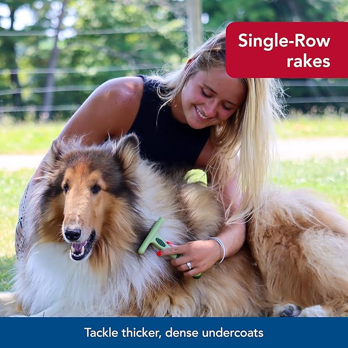 Coastal Pet Safari Double Row Undercoat Rake - Gentle Dematting and Deshedding Grooming Comb for Dogs