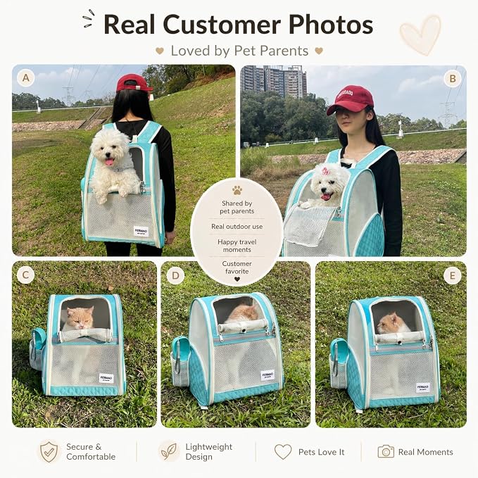 Cat Backpack Carrier for Small Dogs and Medium cat Puppy Kitten Bunny Pet Carrier Backpack Collapsible with Fully Ventilated Mesh with Safety Leash (LightGreen, 12.9" L x 10.62" W x 15.5" H - M)