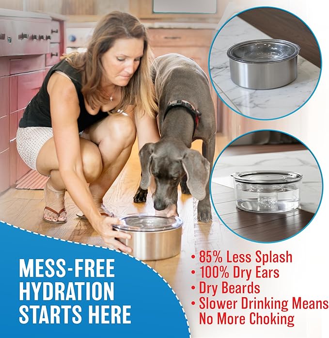 Slopper Stopper Stainless Steel Dripless Water Bowl with Tritan Plastic Lid, Holds 1 Gal, Reduces Spills & Trails Up to 85%+, Water Bowl for Medium Breed Dogs (21-50 lbs), The Original Slobber Stopper